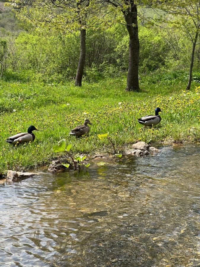 Rustic Inn River 2 Плитвицька Єзера Екстер'єр фото